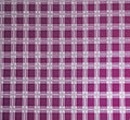 0912_brombeere