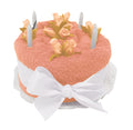 1577_Torte_1_apricot