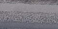 Duschtücher Frottee 70x140 cm Sonderposten 1645