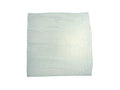 1651_FST_mint