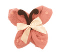 2704_Schmetterling_apricot