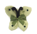 2704_Schmetterling_limone