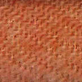 6039_Twill_0011_terra