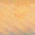 6039_Twill_0035_gold