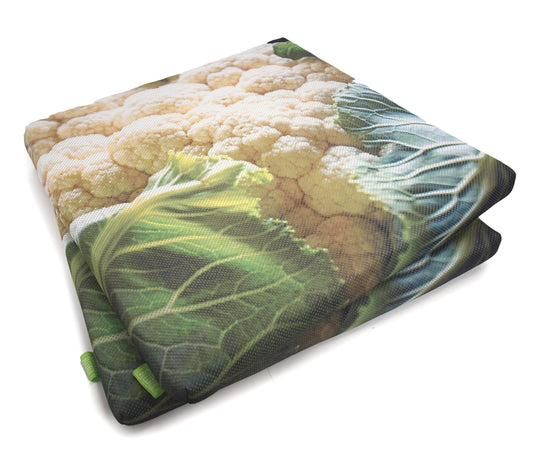 Outdoorkissen Sitzenbleiber Blumenkohl