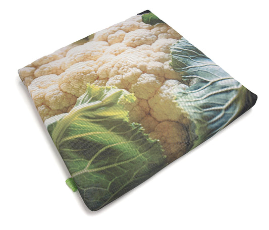 Outdoorkissen Sitzenbleiber Blumenkohl